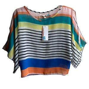 Vintage Havana Multicolor Striped Top